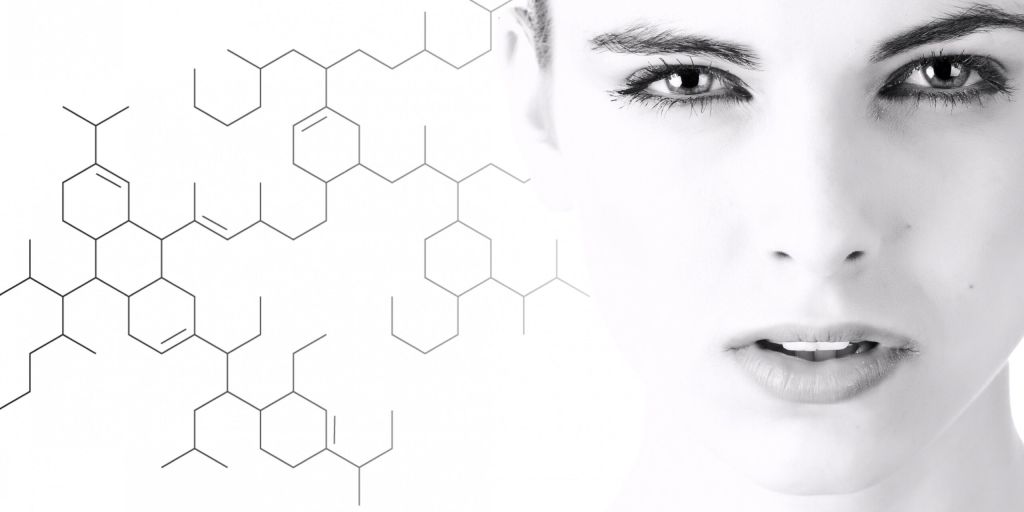 STEHR Cosmetics